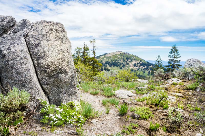 n_Split Rock Trail sunny day-4.jpg